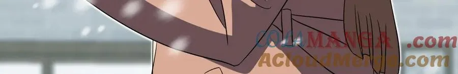 337 第113页