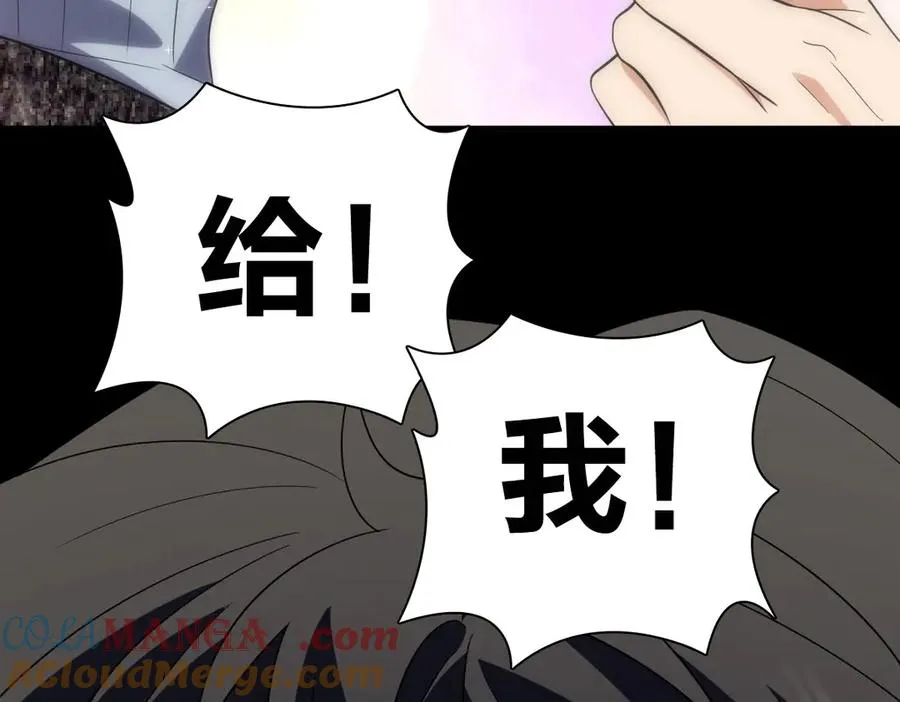 338 第13页