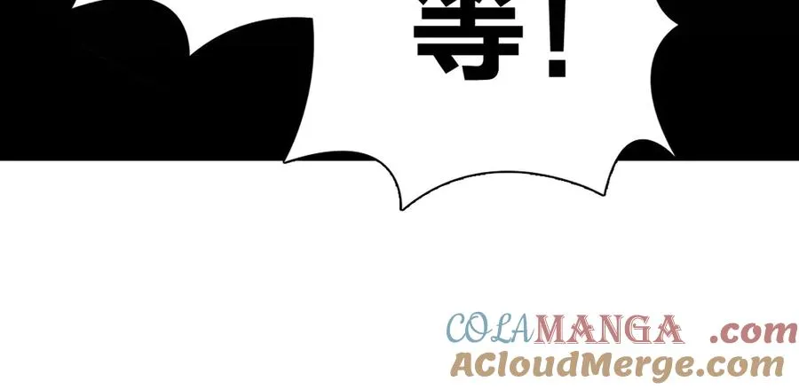 338 第17页