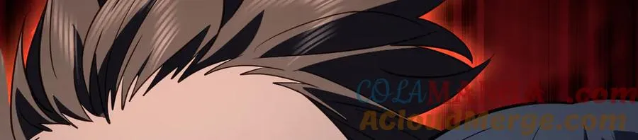 338 第29页