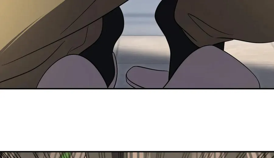 338 第43页