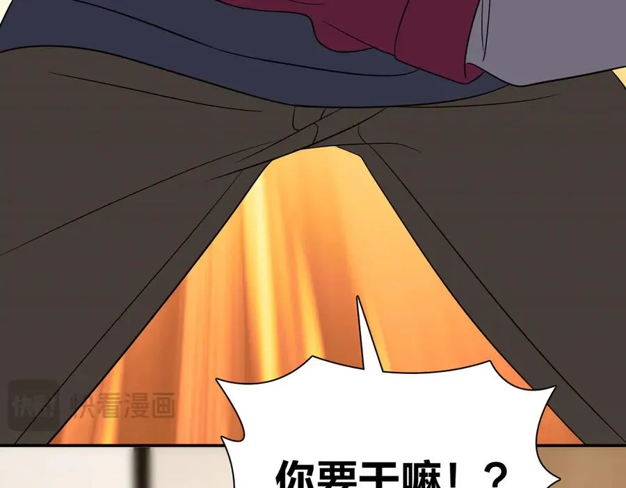 338 第78页