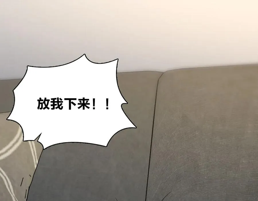338 第80页