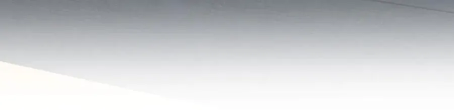 338 第82页