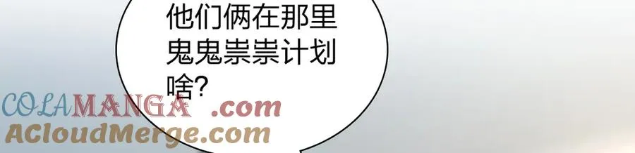 338 第133页