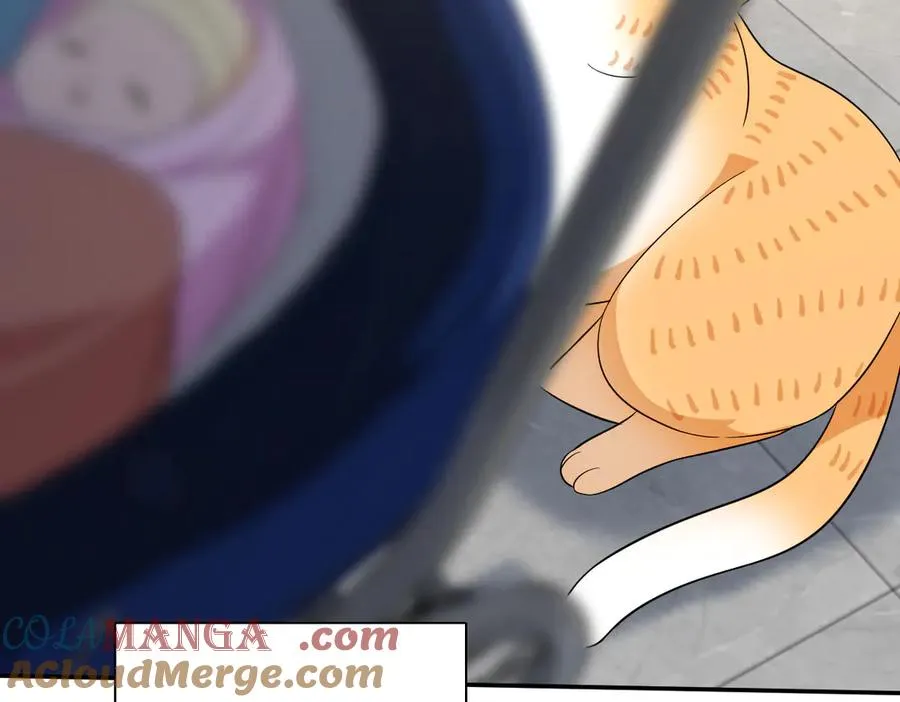 342 第53页