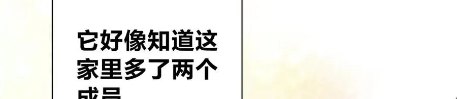 342 第60页