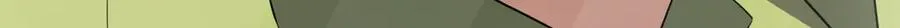 342 第114页