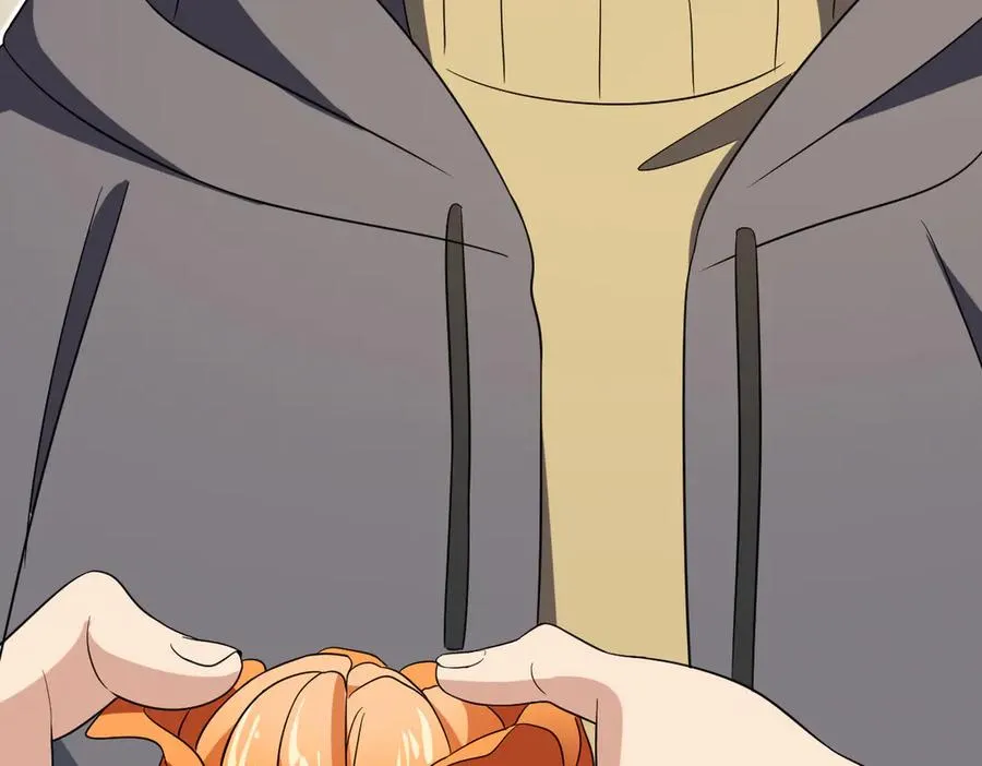 341 第26页