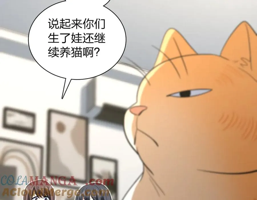 343 第97页