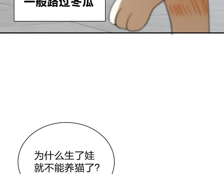 343 第100页