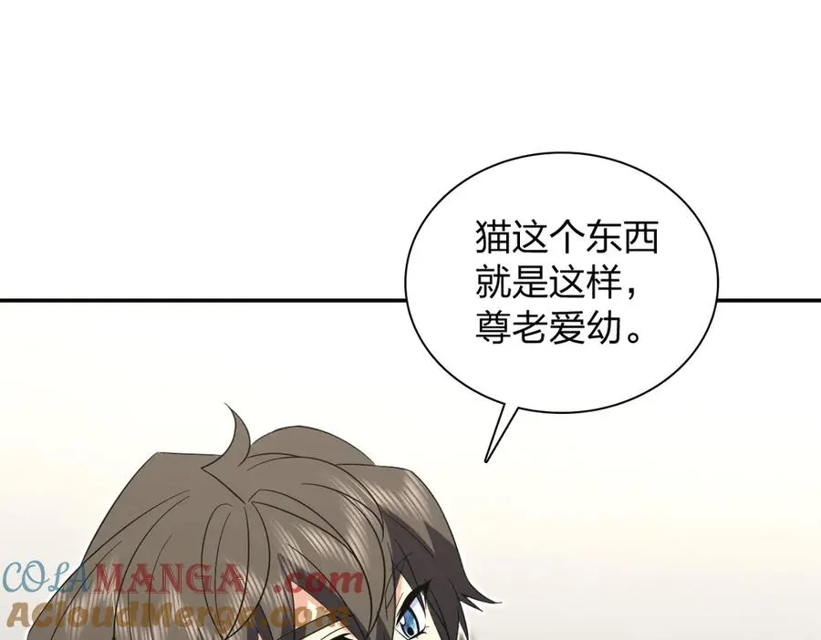 343 第117页