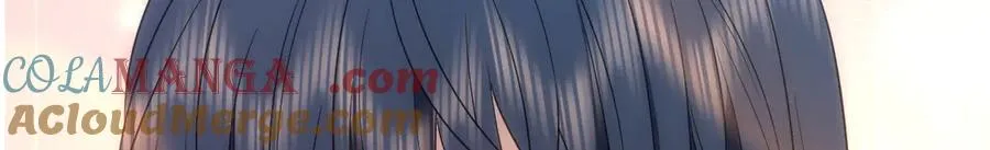 344 第113页