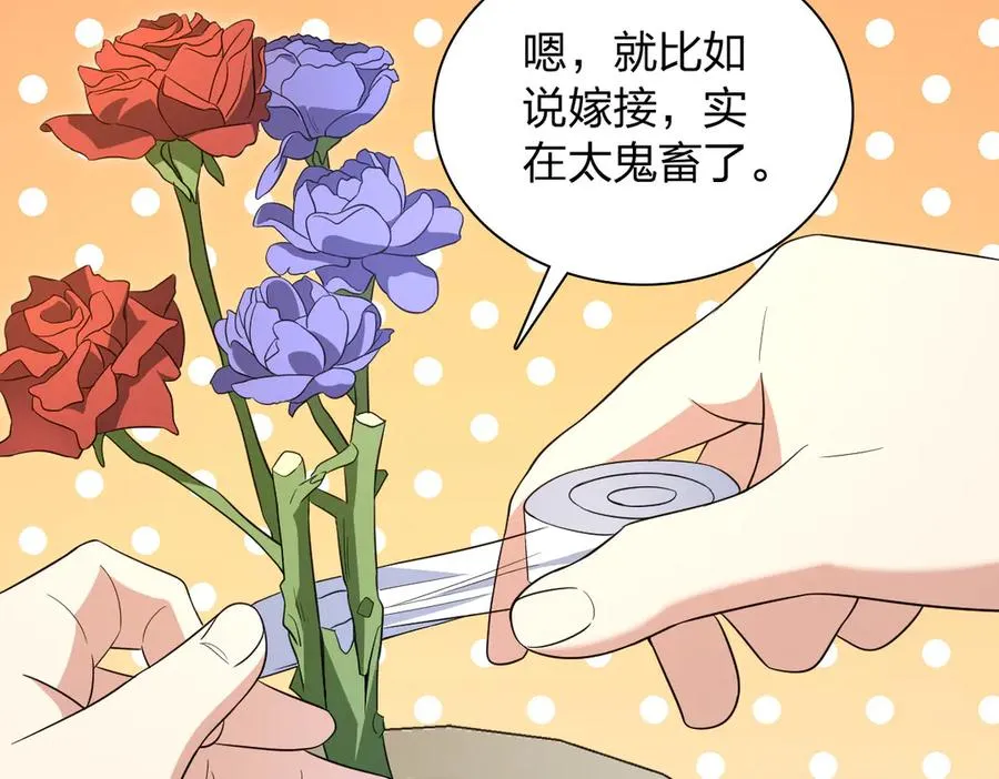 348 第42页
