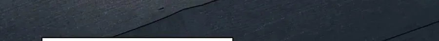355 第5页