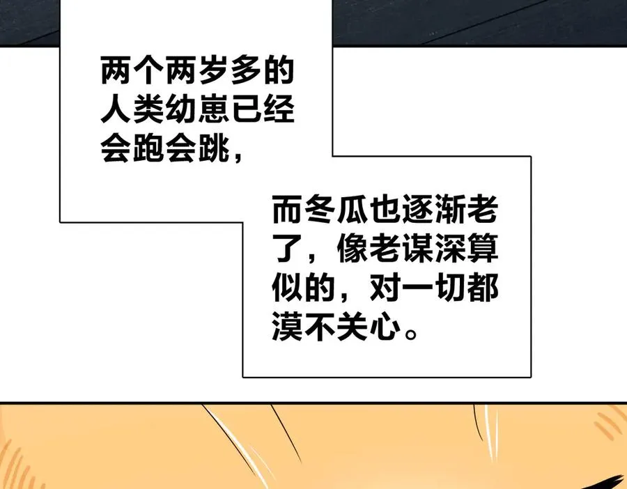 355 第6页