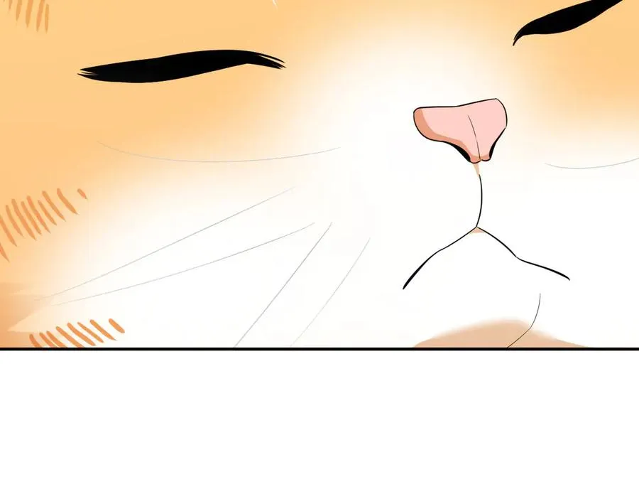 355 第7页