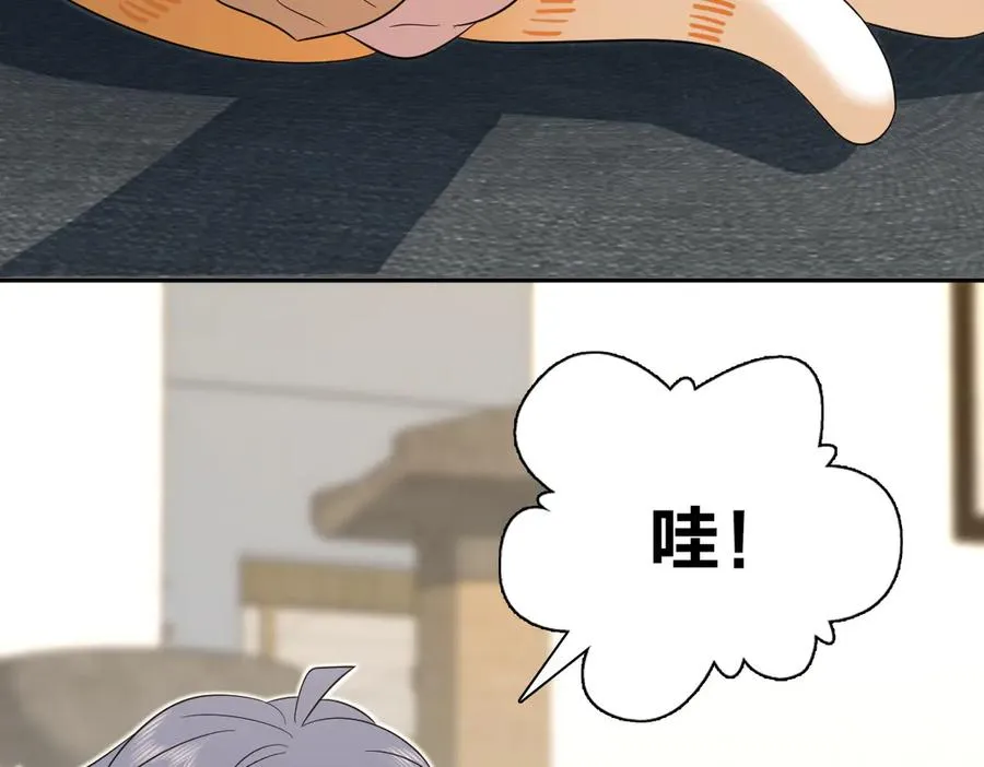 355 第10页