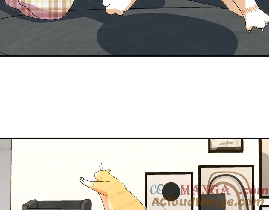 355 第13页