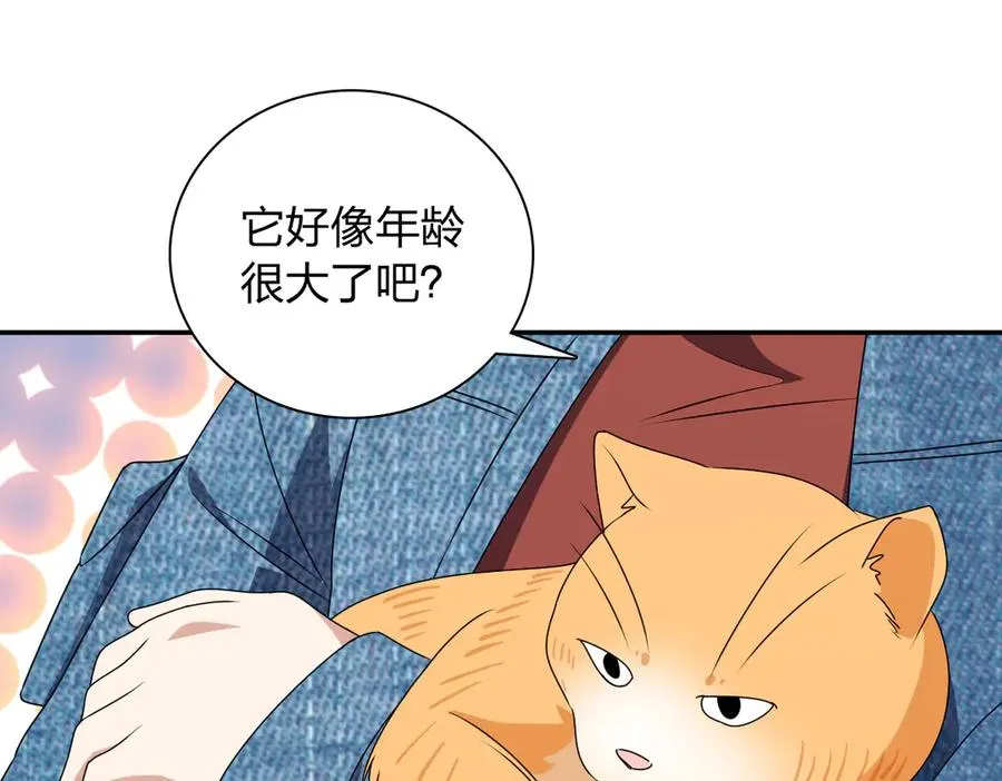 356 第71页