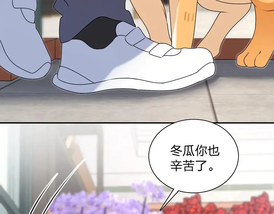 358 第67页
