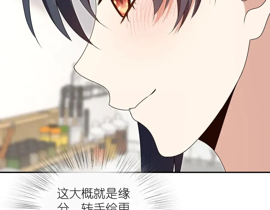 358 第146页