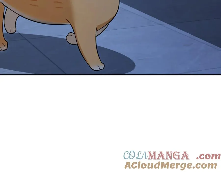 362 第125页