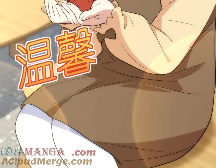 364 第113页