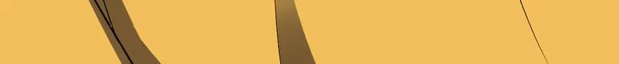 365 第17页