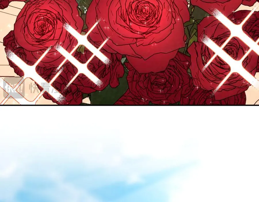 366 第30页