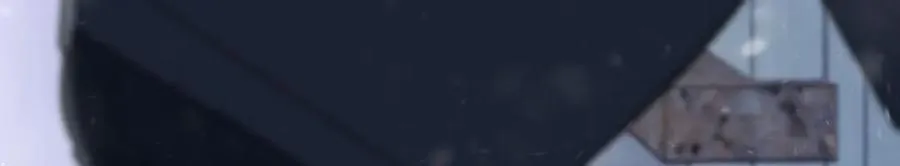 366 第98页