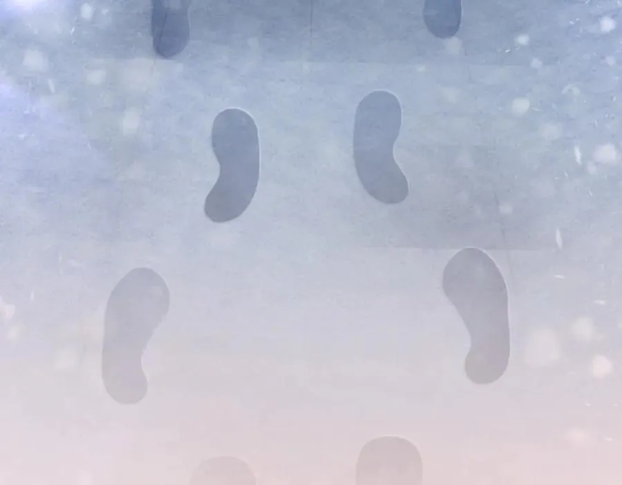 366 第124页