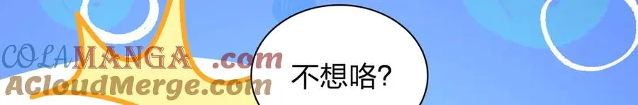 366 第137页