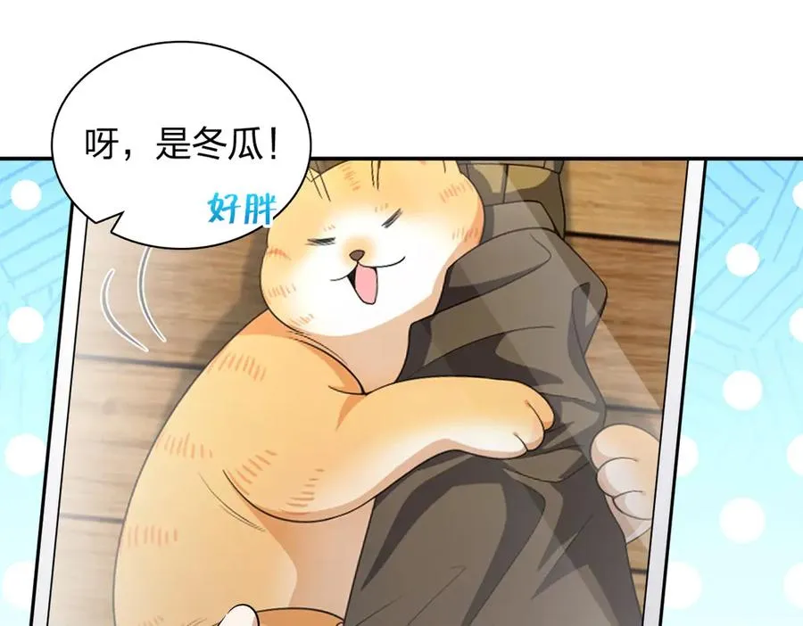 368 第20页