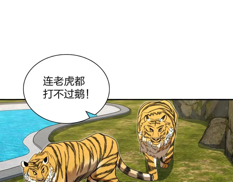 373 第43页