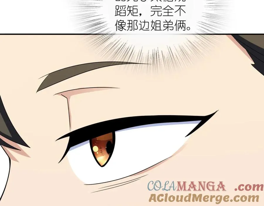 373 第113页