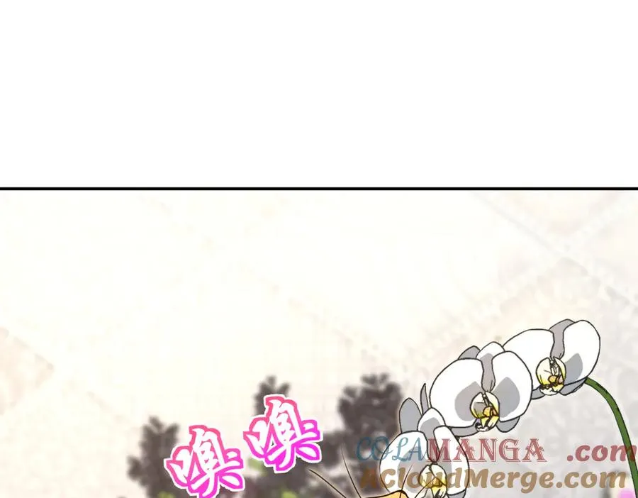 380 第81页
