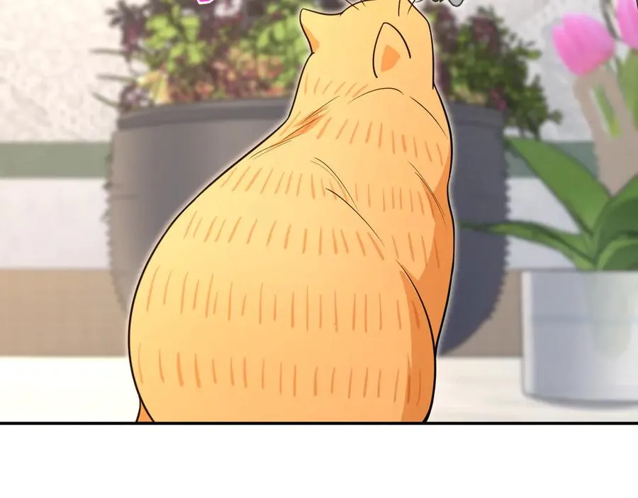 380 第82页