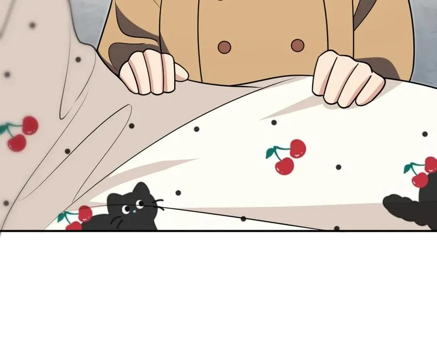 381 第24页