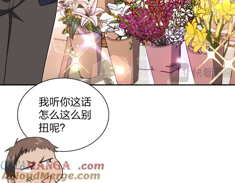 381 第117页
