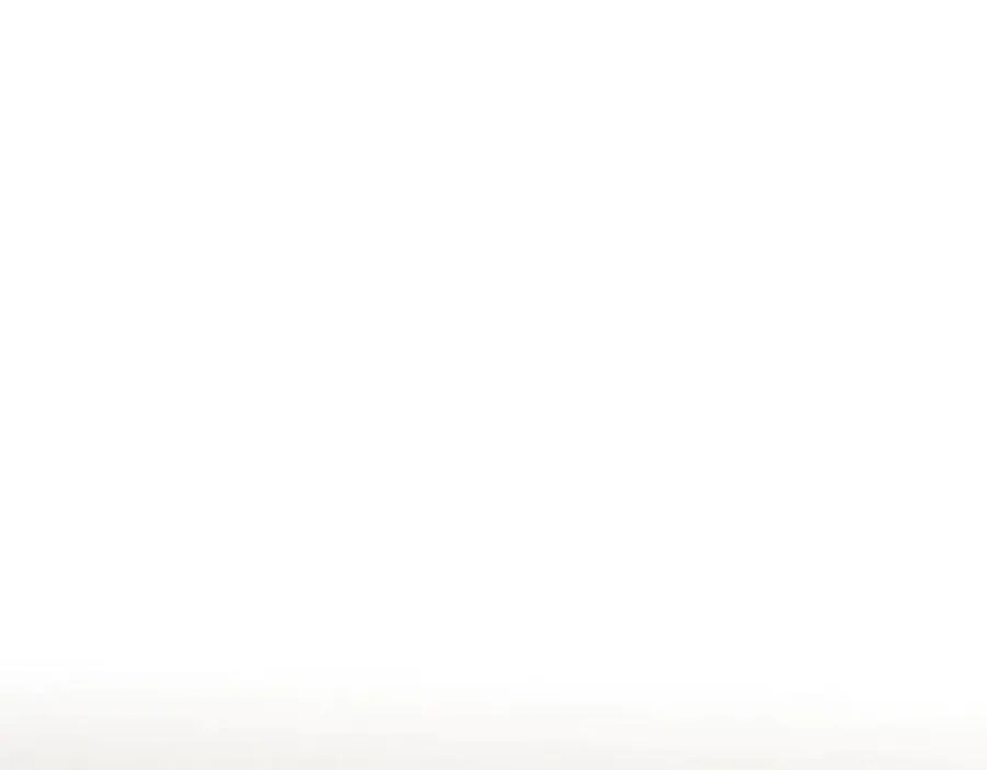 381 第131页