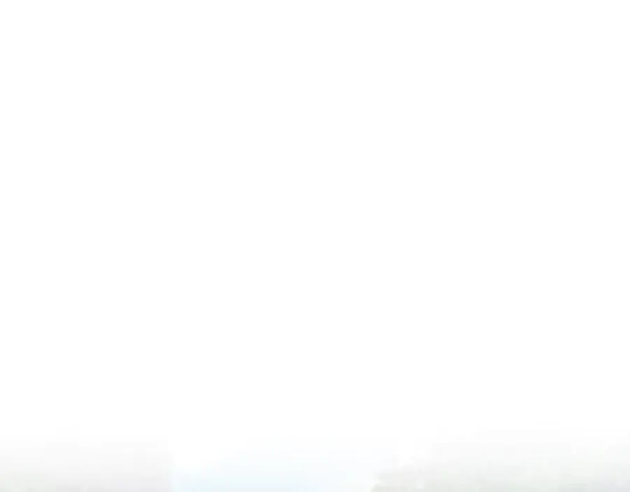 384 第39页