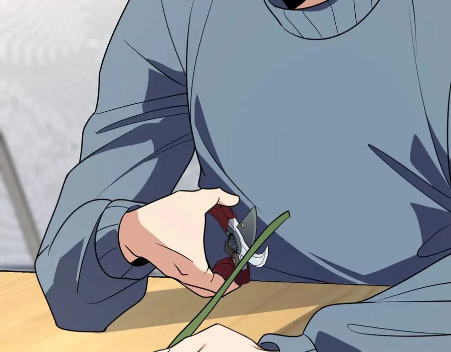 384 第68页