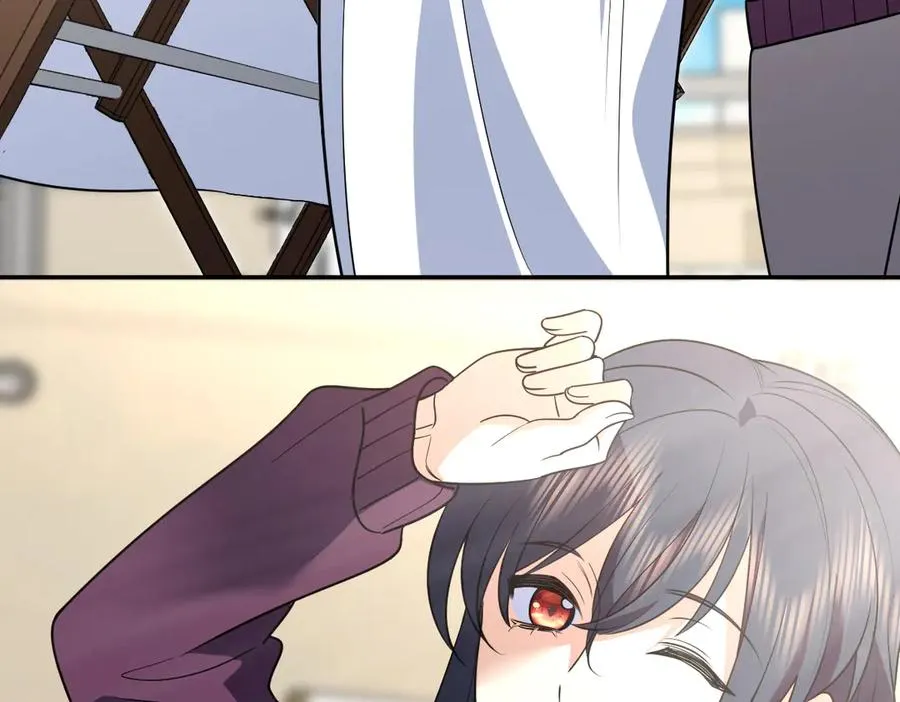 384 第82页