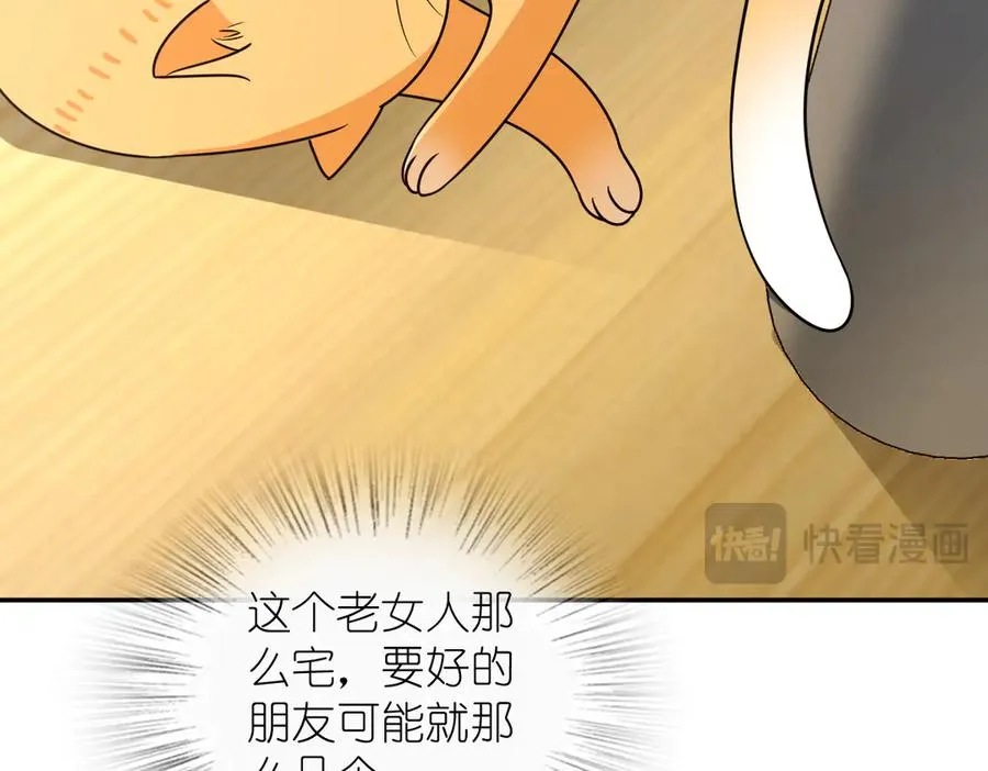384 第103页