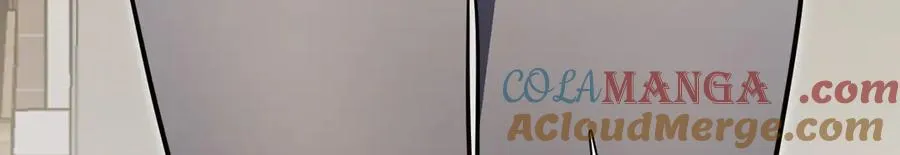 386 第113页