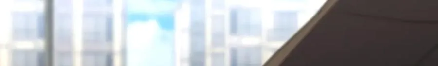 387 第30页