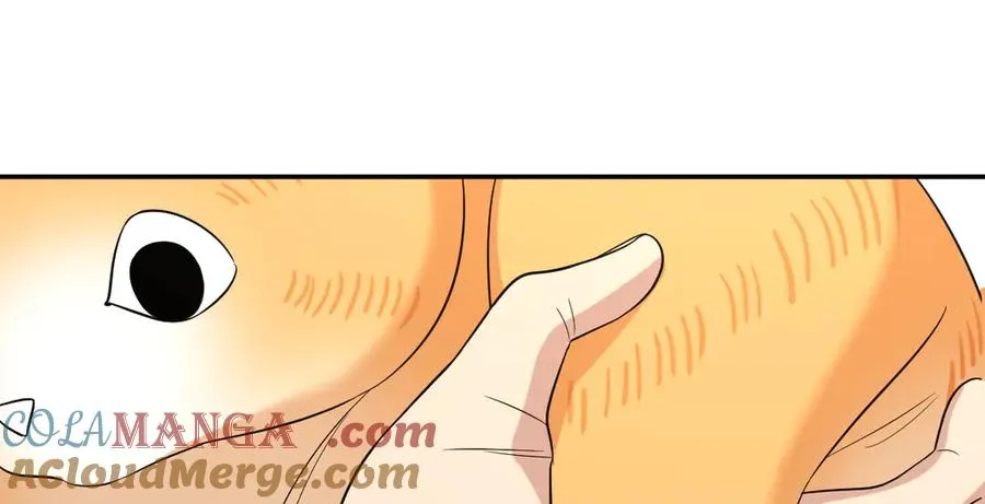 389 第25页