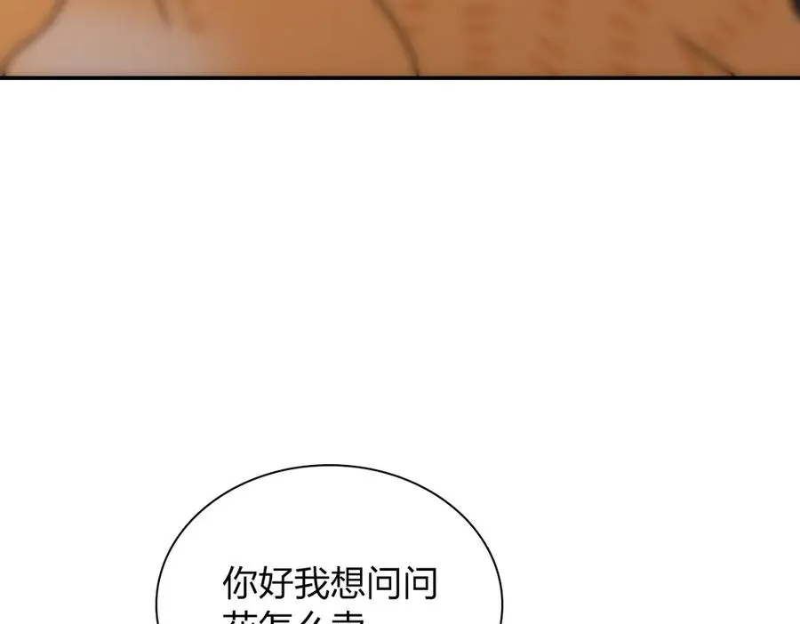 390 第91页