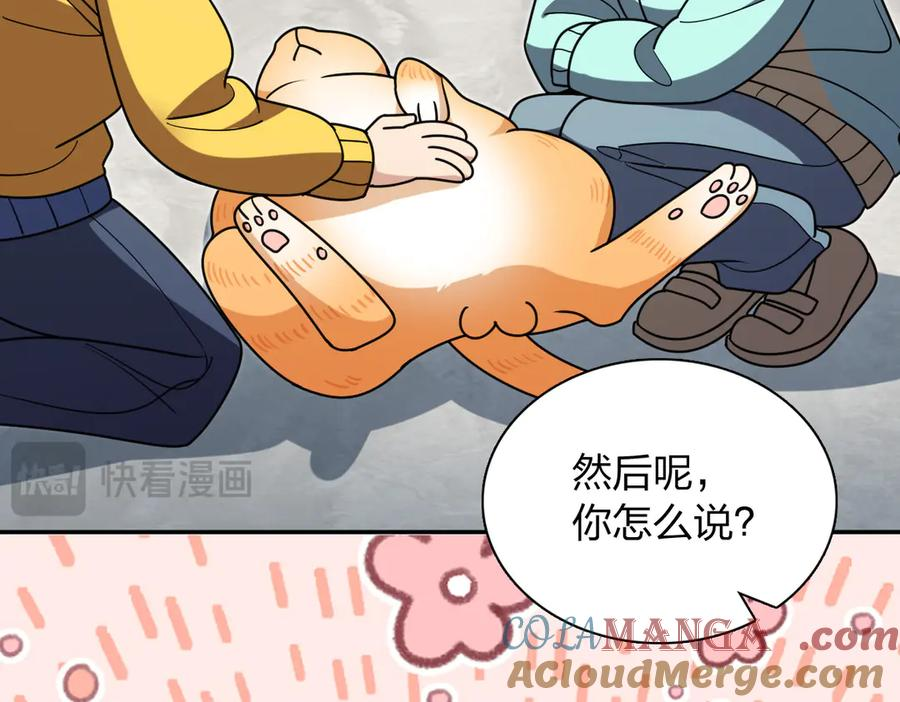 391 第61页